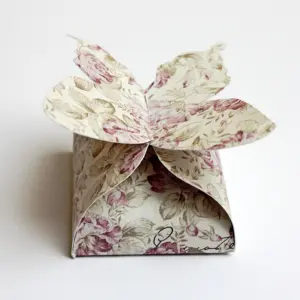 Schmetterlingsschachtel