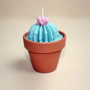 Kerzekaktus im Blumentopf
